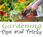 Gardening Tips & Tricks
