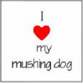 I Love my mushing dog