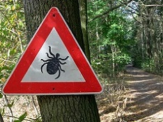 Prevent Lyme Disease