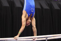 Mens parallel bars