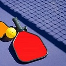 Pickleball paddle