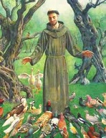 Saint Francis pray for us