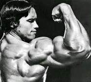 Arnold