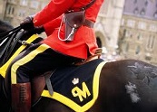 Royal Canadian Mounted Police